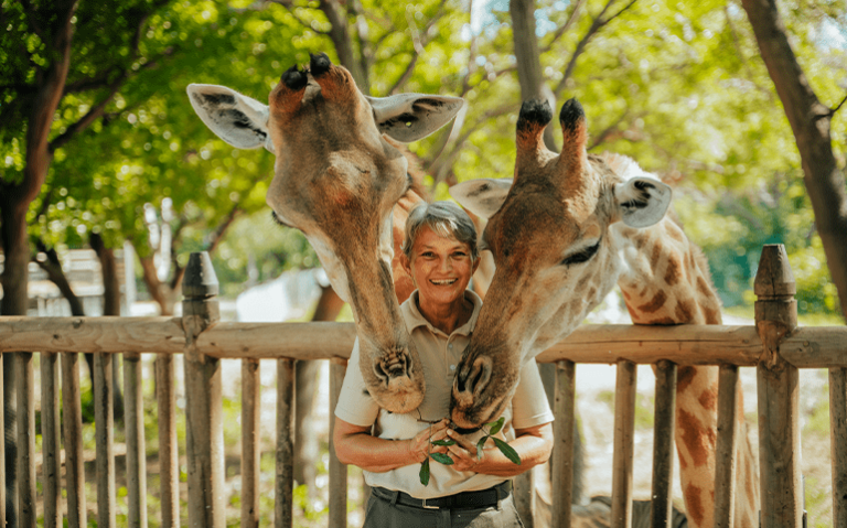 Tropical wildlife and nature